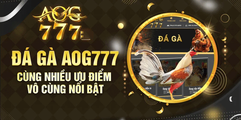 ƯU ĐIỂM SẢNH ĐÁ GÀ AOG777